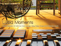 Lucid Moments (chill & deephouse) image