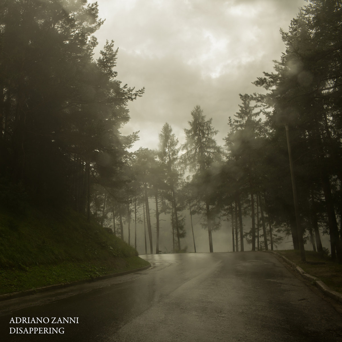 adriano zanni disappearing boring machines nature album
