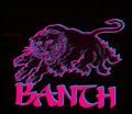 Banth image