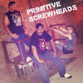 Primitive Screwheads image