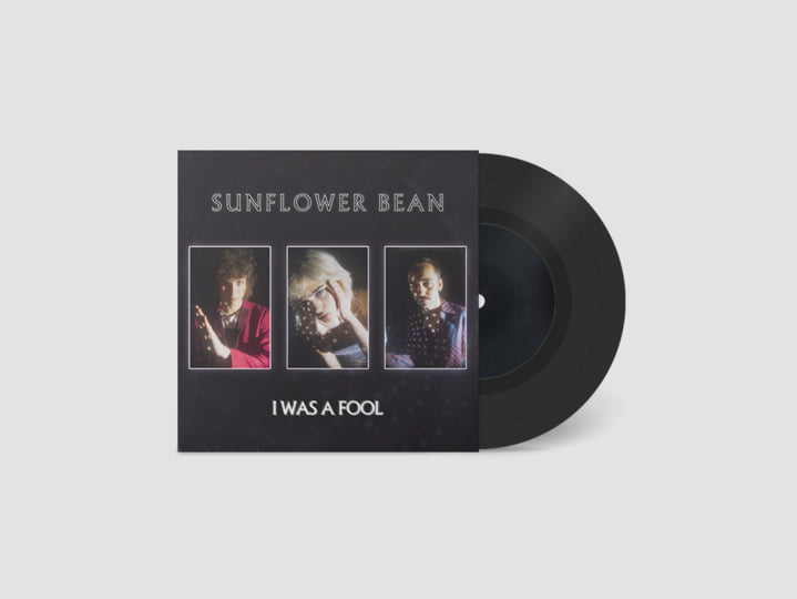 Sunflower Bean サンフラワー・ビーン レコード 2枚 サンフラワー