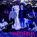 Poppyfields. image