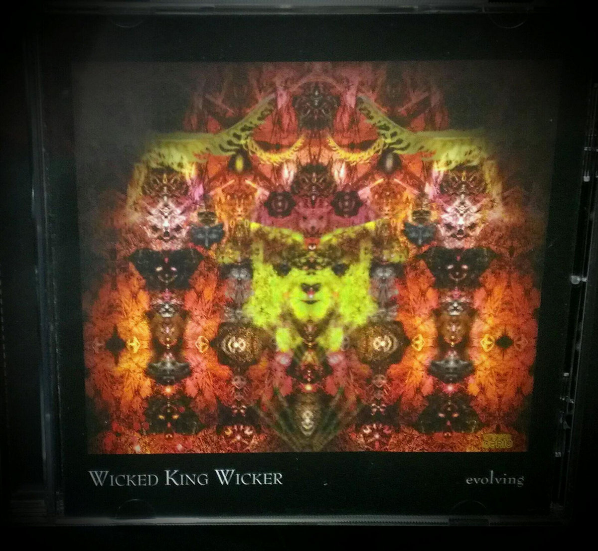 Evolving (CSR154CD) | Wicked King Wicker | Cold Spring