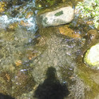 Yulquen thumbnail