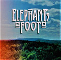 Elephant's Foot image
