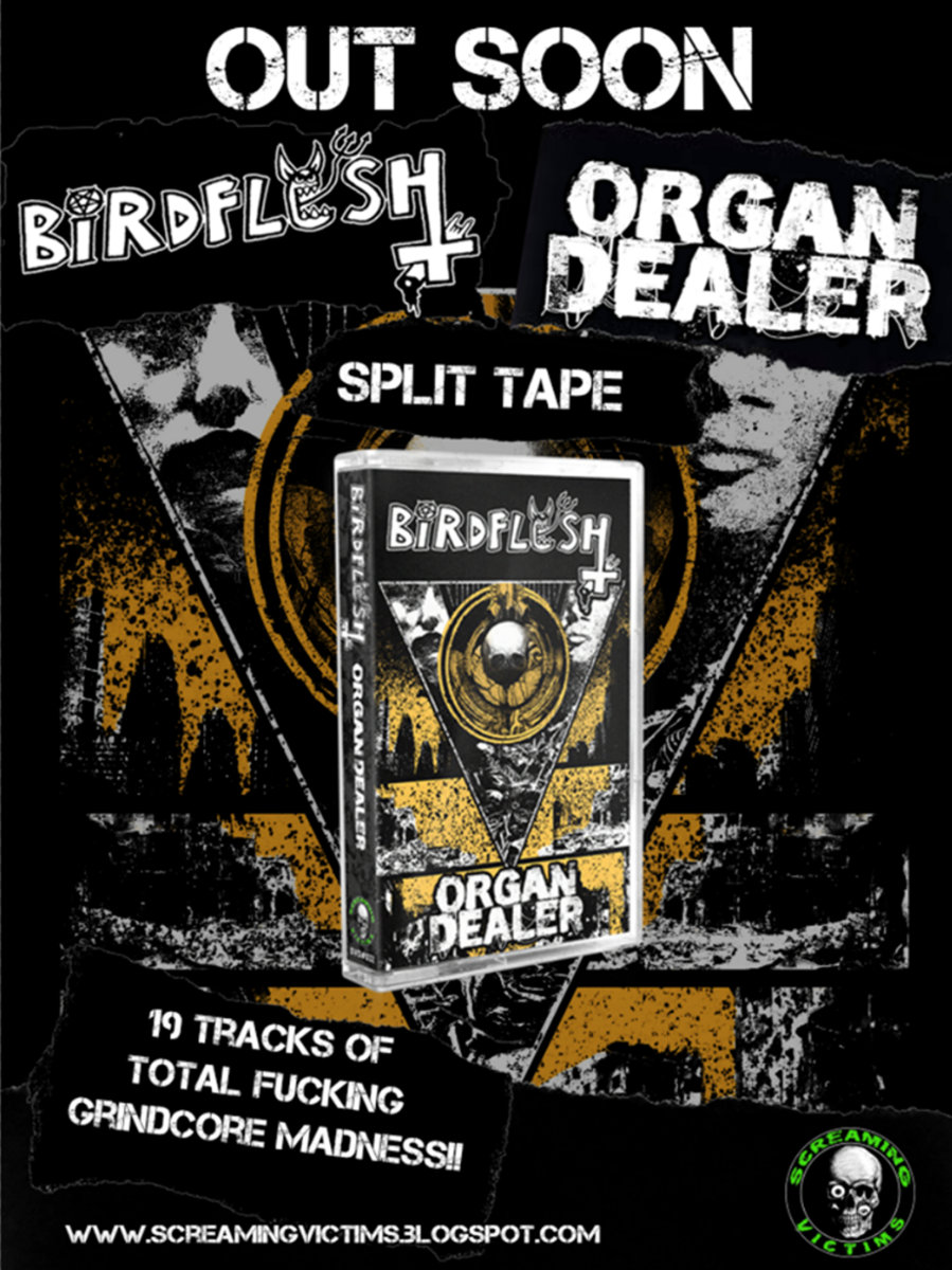 birdflesh organ dealer tape screaming victims distro go flyers organ mp3