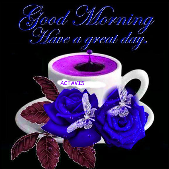 Good Morning | shunug