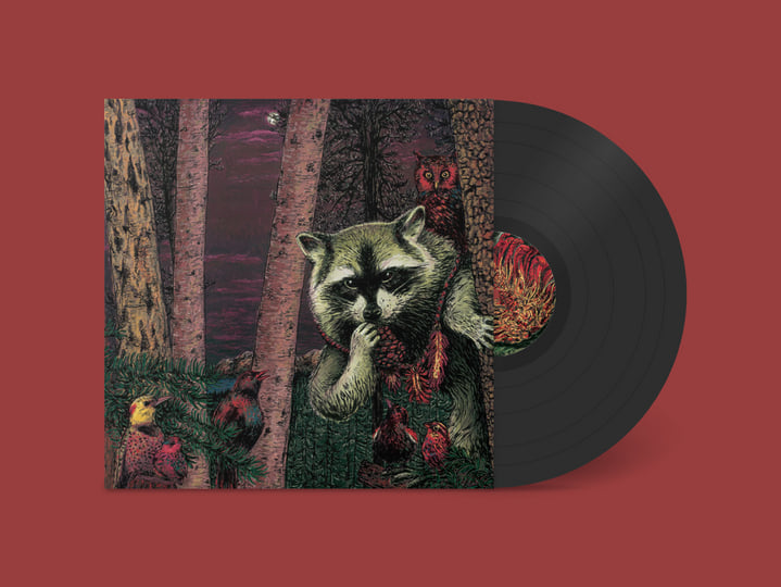 【raccoon】通常盤CD12枚 Half Pine Cone | Wild Raccoon | Howlin Banana Records