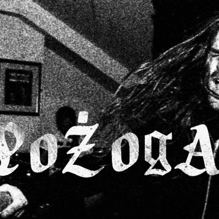 Pozoga cover