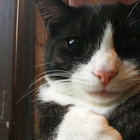 Alan Wilkes thumbnail