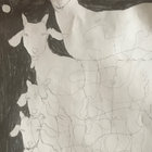 Natch  thumbnail