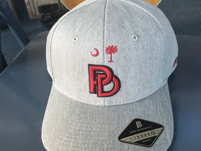 PD - "3D Embroidered" South Carolina Hat (Grey) main photo