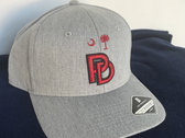 PD - "3D Embroidered" South Carolina Hat (Grey) photo 