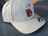 PD - "3D Embroidered" South Carolina Hat (Grey) photo 