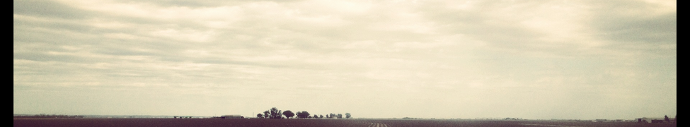 Harmonic Dirt — Photo