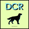 Dog Club Records image
