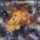mplsTC thumbnail