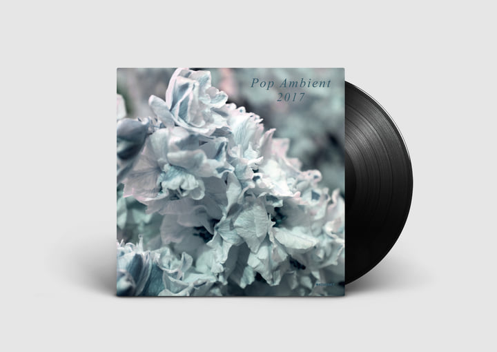 Pop Ambient 2017 | Various Artists | Kompakt