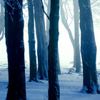Darkmusic thumbnail