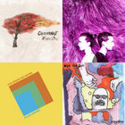 The Illusion of Democracy | Reflux