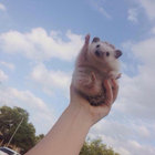 lavenderonmars thumbnail