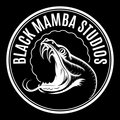 Black Mamba Studios image