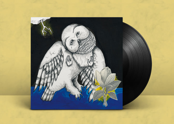 Songs Ohia The Magnolia Electric Co レコード Magnolia Electric Co. (Deluxe Edition) | Songs: Ohia