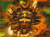ミュージック shpongle live in concert (rajaram) shpongle live in concert (rajaram)｜DVD - ミュージック