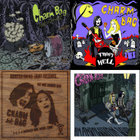 洋楽 ENGINE COMMON A SARAH COMPILATION Engine Common | Various Artists | Sarah Records Compilations