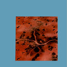 till66 thumbnail