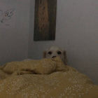 Jude thumbnail