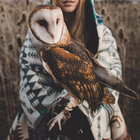 Splinters From An Ever-Changing Face | End