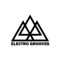 Electro Grooves image