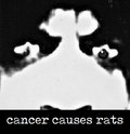 cancer causes rats image