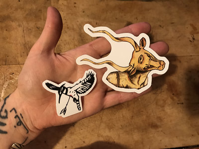 Kudu/ Kingfisher stickers main photo