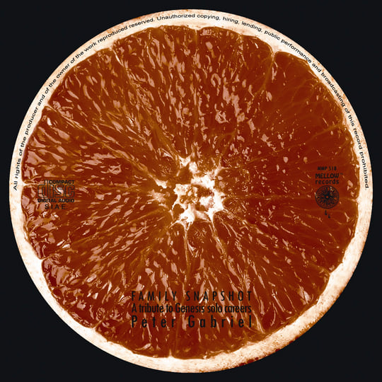 Family Snapshot (A tribute to Peter Gabriel) | VARIOUS ARTISTS