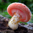 Clarisssa8890 thumbnail