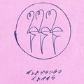 Flamingo Tapes image