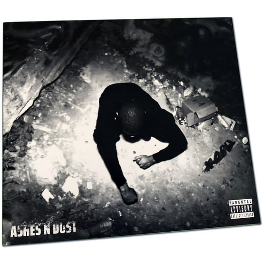 Ashes N Dust | Trizz | Below System Records