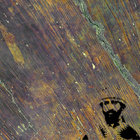 Dub Guzzle thumbnail
