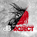 DB Project image