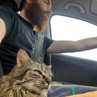 Rob Bryce thumbnail