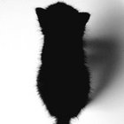 henrykitten thumbnail