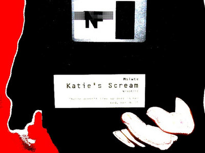 Mslwte - Katie's Scream (floppy disk) main photo
