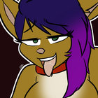 riderkicker thumbnail