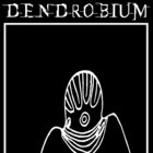 dendrobium1  thumbnail