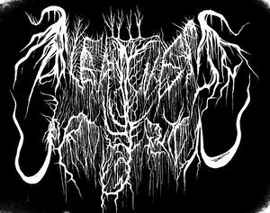 Music | Bleakness Projection