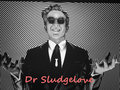 Dr Sludgelove image