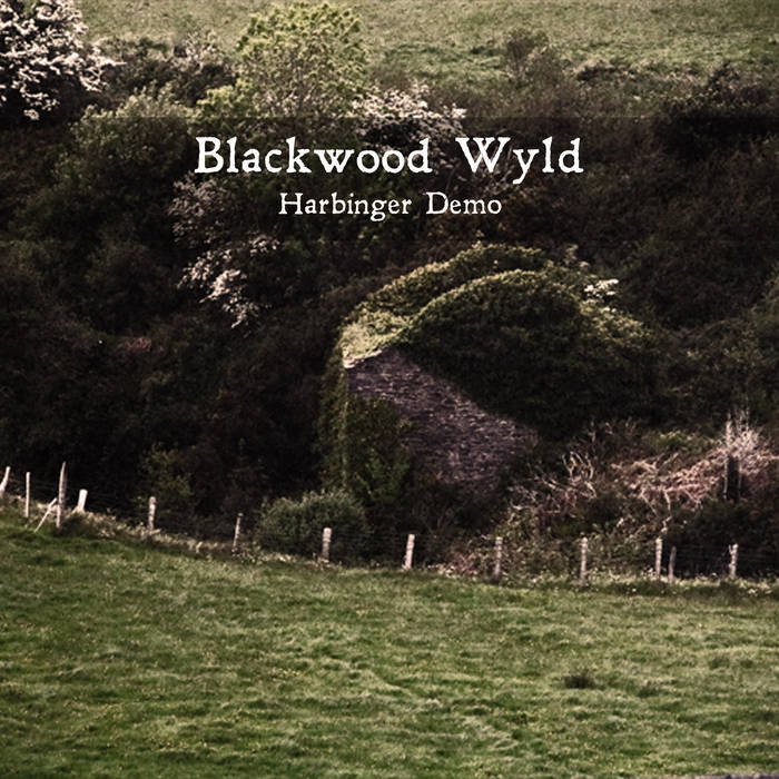 Blackwood Wyld cover