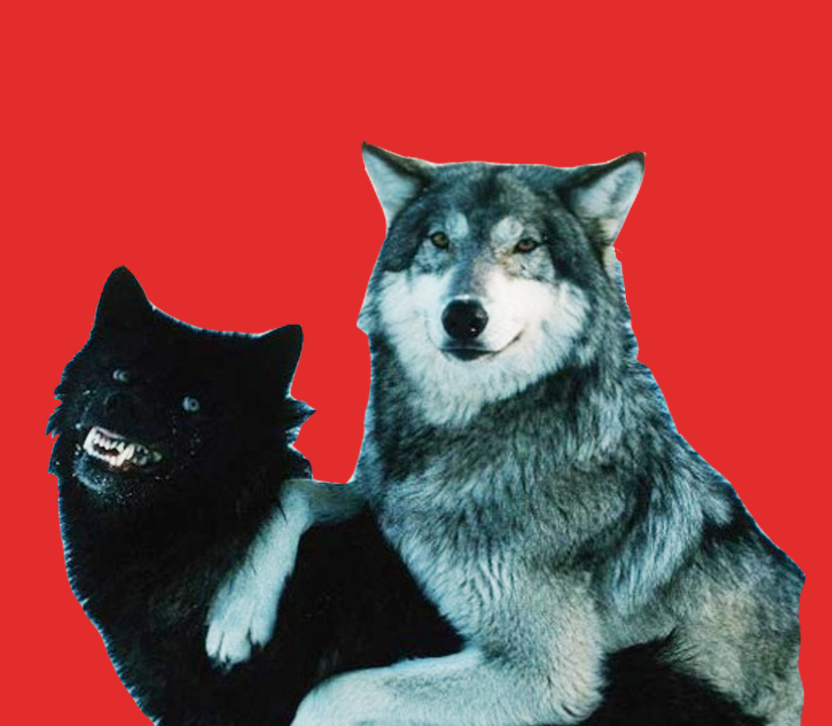 Courage Wolf Vs Insanity Wolf Rap Battle